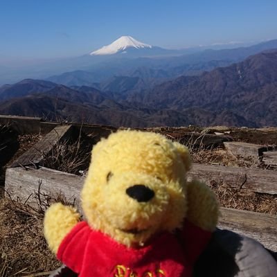 プーと共に不定期で登山してます/神奈川県中心に登山している冴えない一般人です/樹木観察