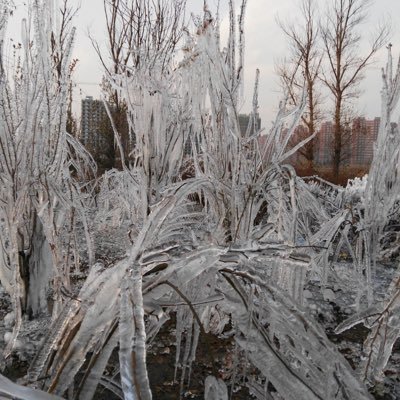 Covid20209's profile picture. Many have opinions Few are experts