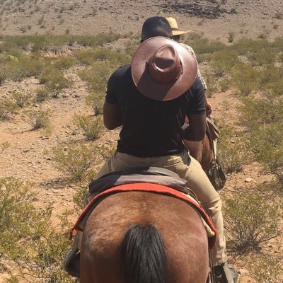 BrightTuraki's profile picture. 