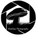 FunGuyPhotography (@funguy_photo) Twitter profile photo FunGuyPhotography (@funguy_photo) Twitter profile photo