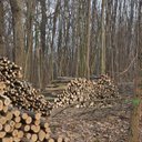 Brian Fry - @fromthewoodpile - Twitter