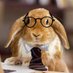Mr. Rabbit (@birthdayjourney) Twitter profile photo Mr. Rabbit (@birthdayjourney) Twitter profile photo