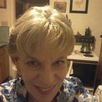 Sharon Norton - @SharonN44195926 Twitter Profile Photo