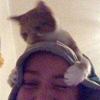 jillian 🦈 (@snackefr0n) 's Twitter Profile Photo