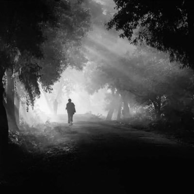 cccxxxx777's profile picture. 