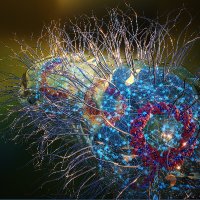 Derek Lovley (@microbeelectric) 's Twitter Profile Photo