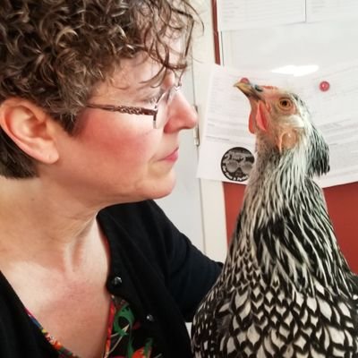 Guess What?  Chicken Butt Microsanctuary