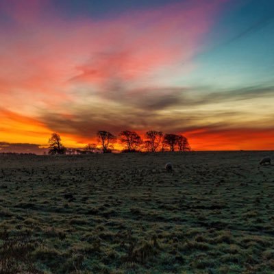 Z2V100TW200's profile picture. (( _ _ ))..zzzZZ