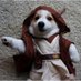 Luke Failed (@vaderguy17) Twitter profile photo Luke Failed (@vaderguy17) Twitter profile photo