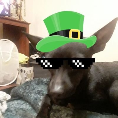 Tabitha75770912's profile picture. 