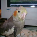 Joe Vassallo - @Da_Tuner - Twitter