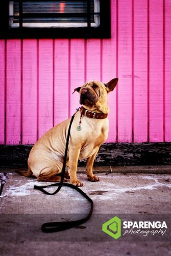 tink69's profile picture. Looking for meaning in a meaningless life