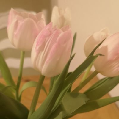 MrsBarn61049825's profile picture. Primary School Headteacher