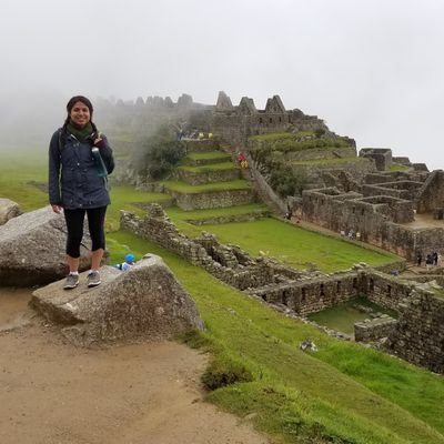 iPandaMasha's profile picture. Just here for da vibes. 🤙🏼