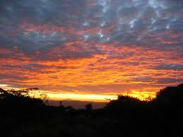 Joye2712's profile picture. 