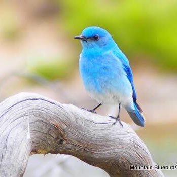 4eH7x0PAF2S8eKY's profile picture. 