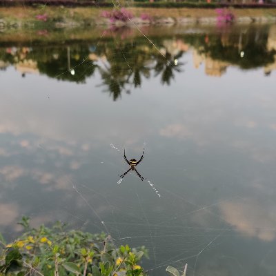 Sayan86019371's profile picture. Work in progress