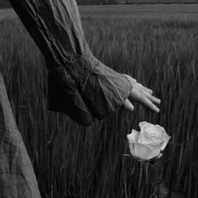 _kurn's profile picture. 