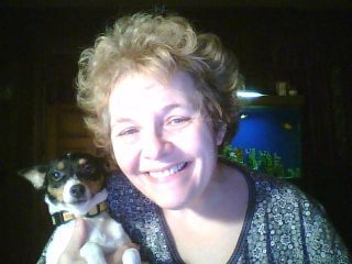 CatToy86's profile picture. Ghostwriter and dreamer - not necessarily in that order!