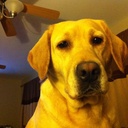 Anthony Charette - @MyTwitFace32 - Twitter