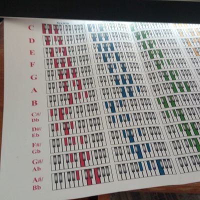 Prefrontalcort3's profile picture. Prefrontal