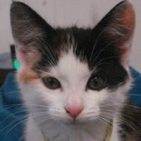 vvvvvv (@vvvvvv80455002) 's Twitter Profile