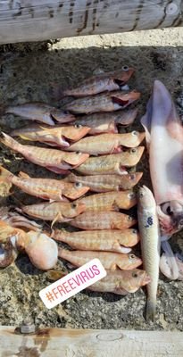 Arteac2's profile picture. només som moments en el temps!!