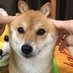 Kozo (@opf_kozo) Twitter profile photo Kozo (@opf_kozo) Twitter profile photo