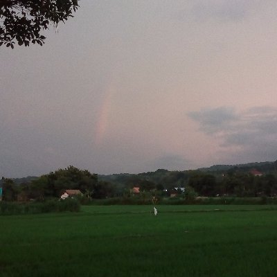 nuriku02's profile picture. ~ Man Jadda Wajada ~