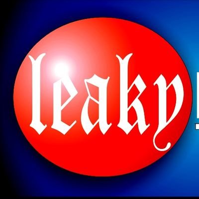leakynews.net