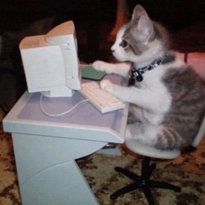 Kurisute1's profile picture. sugar addicted gremlin running on cat pictures, manga, and punk rock ♡ she/her 19