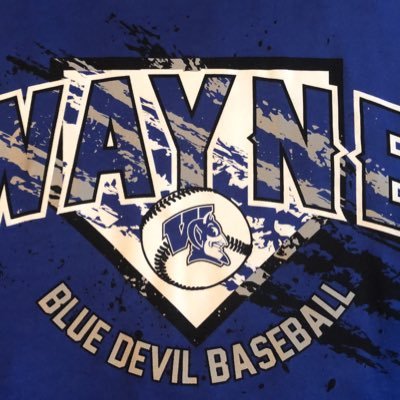 Wayne Baseball Profile