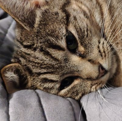 BenFaure2077's profile picture. 