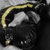 bondagegimp (@bondagegimp1) Twitter profile photo bondagegimp (@bondagegimp1) Twitter profile photo