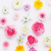 mmma62765933's profile picture. 今の時代、複業なしでは厳しい時代。残業なし、昇給なし、お金なし、老後2000万時代は目の前。不安を解消する為今こそ先行投資を。何で権利収入を得るか分からない、無理せず美と健康と権利収入トリプルゲット！