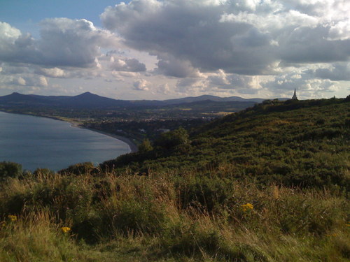 mags340's profile picture. Citizen of the world, trying to make a small difference.