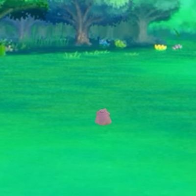 dittoplush's profile picture. I am ditto I am plush | parody account | not affiliated with nintendo |