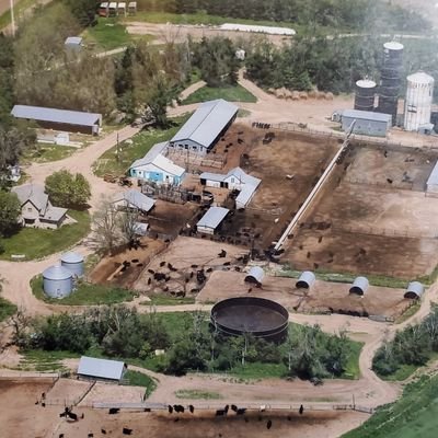 Every days an adventure here.
3rd generation  cattle feeder in central Nebraska.