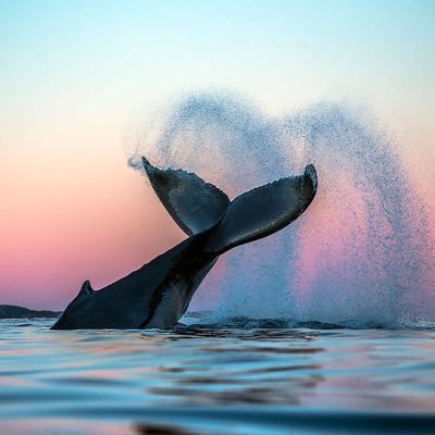 dOs4EWsrzJTzBSQ's profile picture. 改变世界