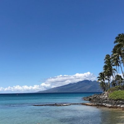 Dad, weather geek, Realtor in Maui, Hawaii, COYS