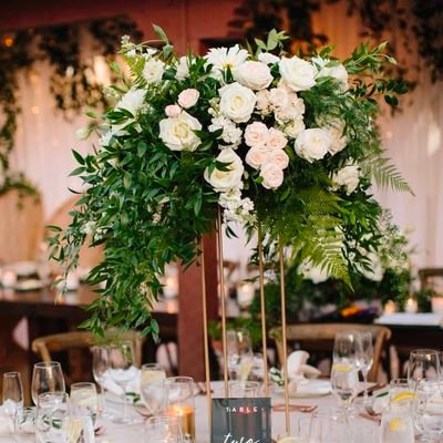 Tina50149587's profile picture. 