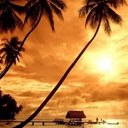 Chuck Swanson - @drylandsurfer - Twitter