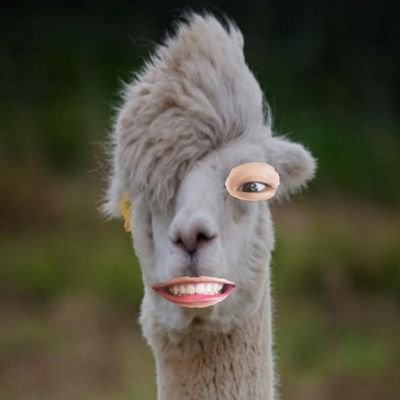 ซอนย่าเป็น​คนโง่ค่ะさんのプロフィール画像
