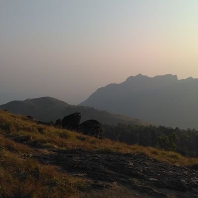 vinodpl's profile picture. ❤️