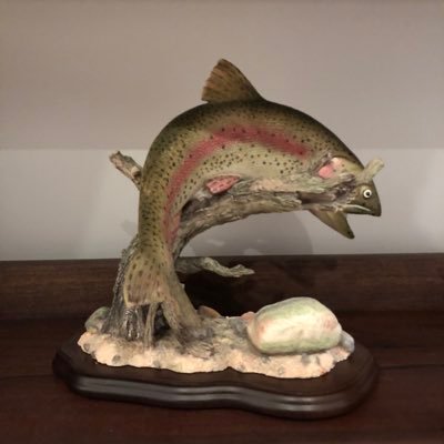 fishfigurine's profile picture. I do many things between reading your thoughts on the internet.