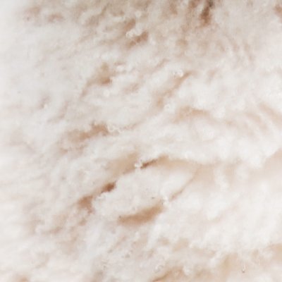 coconogu's profile picture. .