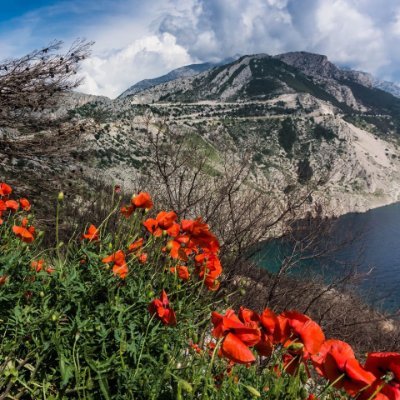 BakhitaMountain's profile picture. A community where love heals, restores and empowers women impacted by human trafficking. This is the only safe home in Colorado Springs.