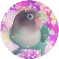みさちゃん (@lecfxxsppmljw2k) 's Twitter Profile