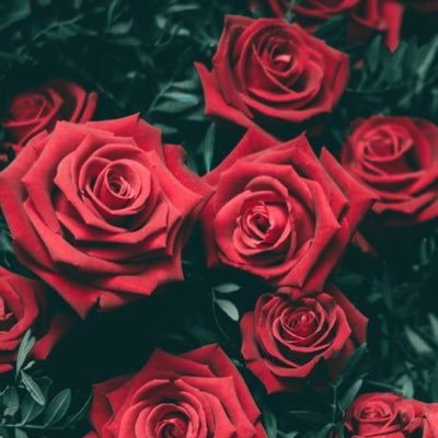 Rinnnn15799836's profile picture. 