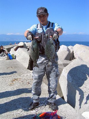 hetappi_CLUB's profile picture. 主に磯釣り、とにかく釣り好きですｗ
東伊豆・南伊豆・東京湾・ゴロタ好き。
夏場はウナギ釣り。

BLOG：https://t.co/f1GmztZpxE
無断フォローお許し下さい。